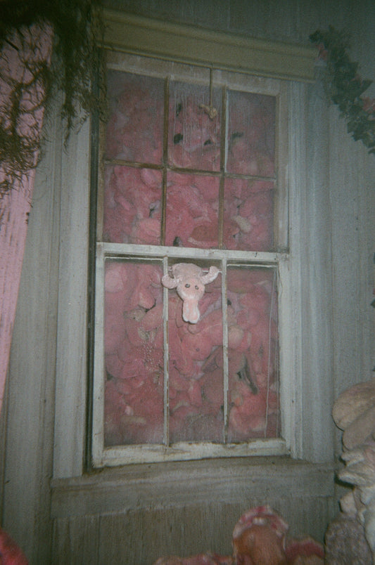 I see bunnies